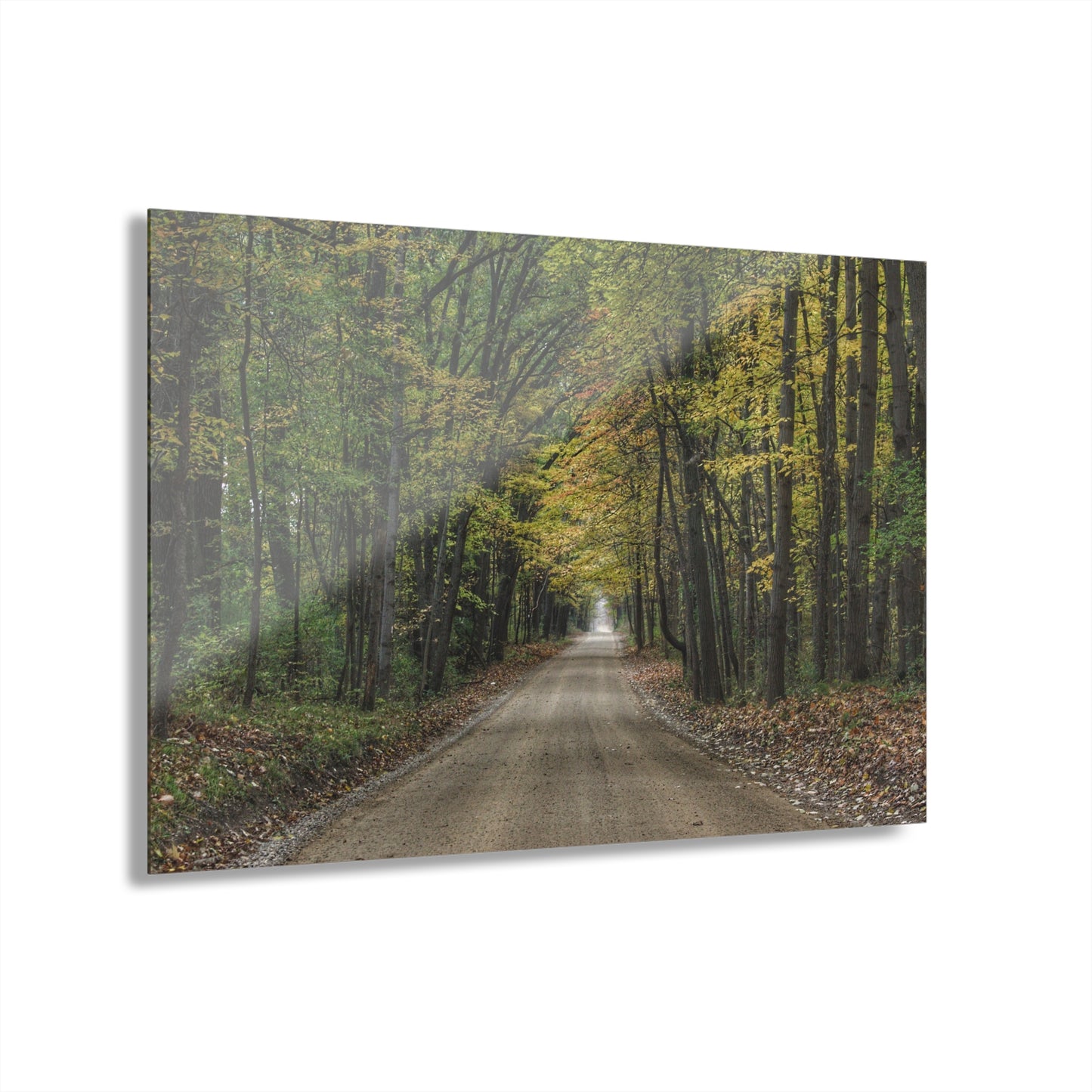 U R There Photography Country Roads in Dryden IV Rustic Farmhouse Acrylic Wall Print