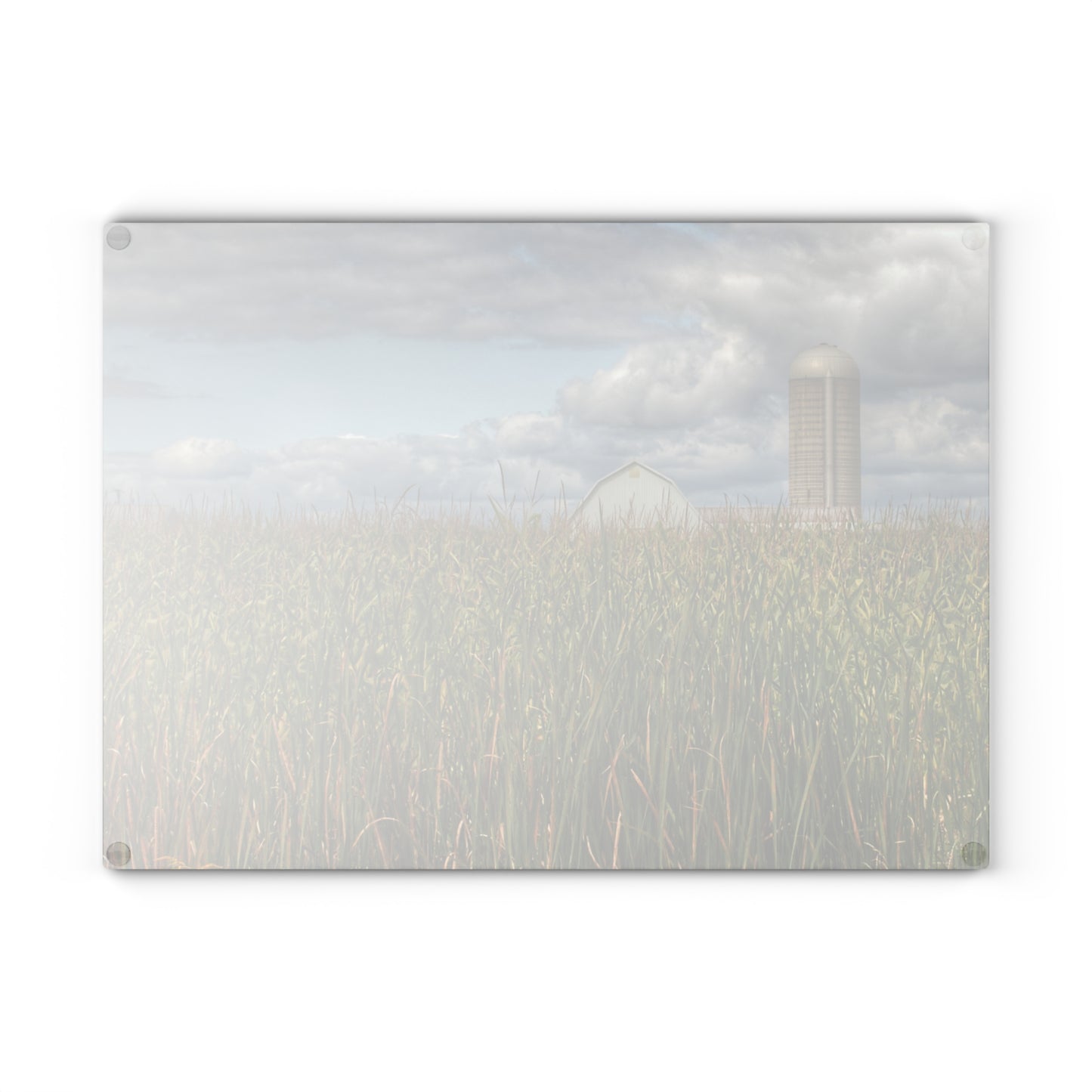 U R There Photography White Barn Overlooking Cornfield Rustic Farmhouse Tempered-Glass Cutting Board