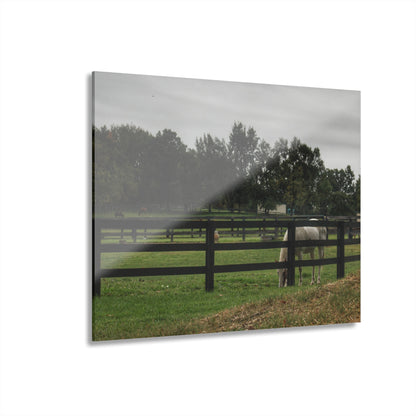 Barn Boutique Modern Farmhouse Acrylic Wall Print| Beyond the Fence White