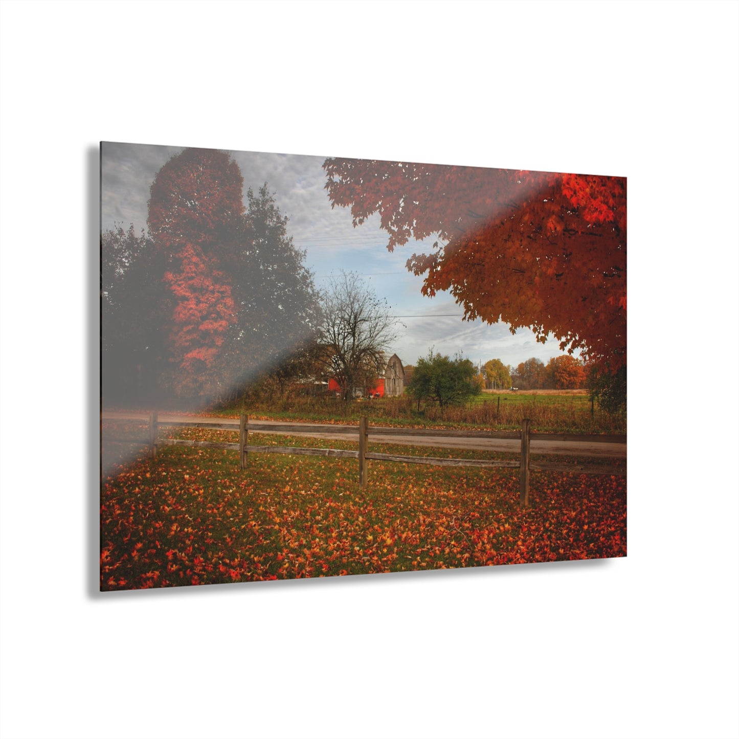 U R There Photography East Frances Road Hidden Grey II Rustic Farmhouse Acrylic Wall Print