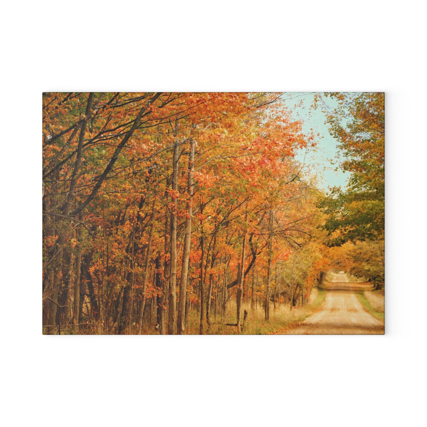 U R There Photography Fall on Murphy Lake II Rustic Farmhouse Tempered-Glass Cutting Board