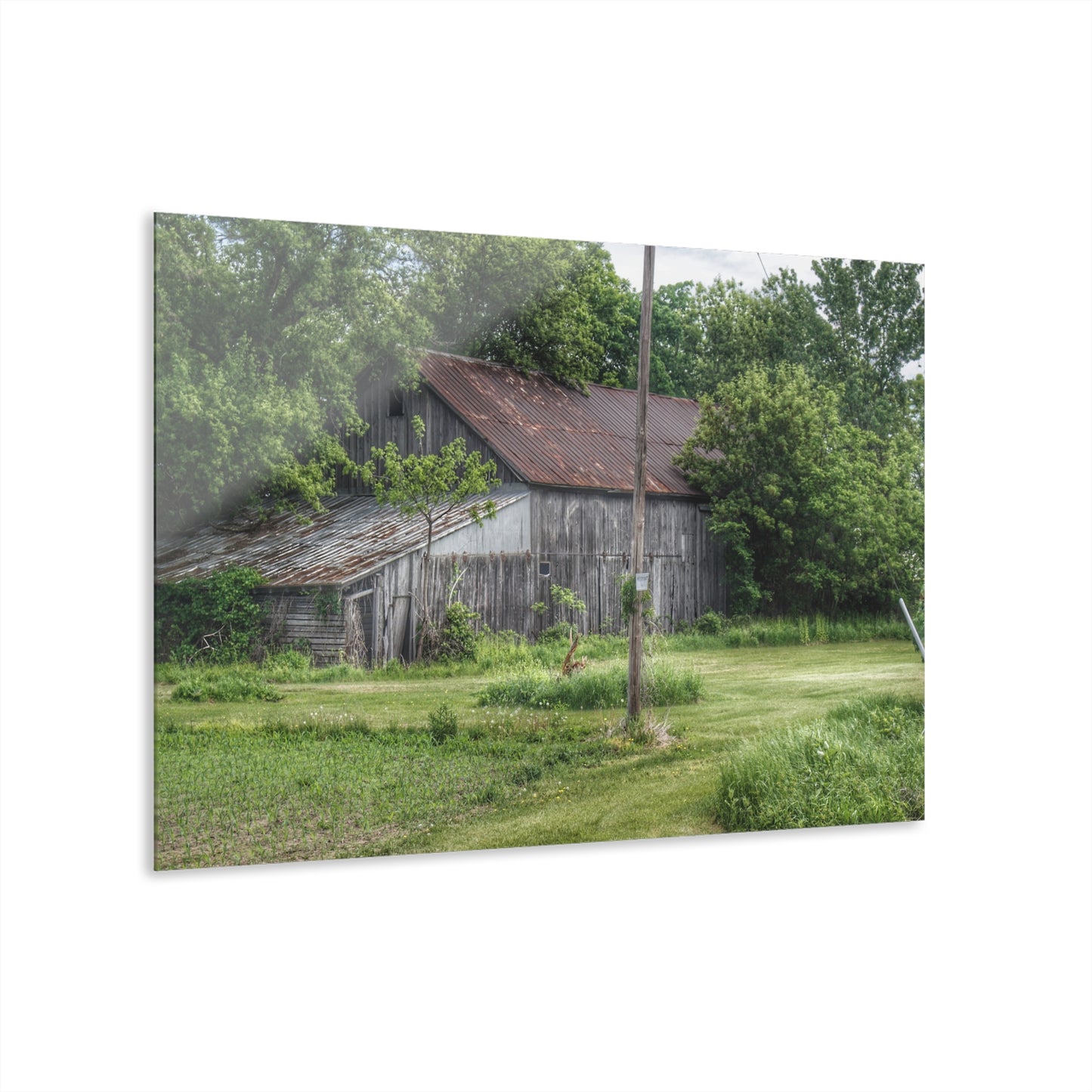 U R There Photography Frankenmuth Grey Saltbox Rustic Farmhouse Acrylic Wall Print