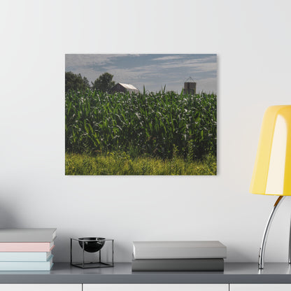 Barn Boutique Modern Farmhouse Acrylic Wall Print| Above the Corn on Piersonville Road I