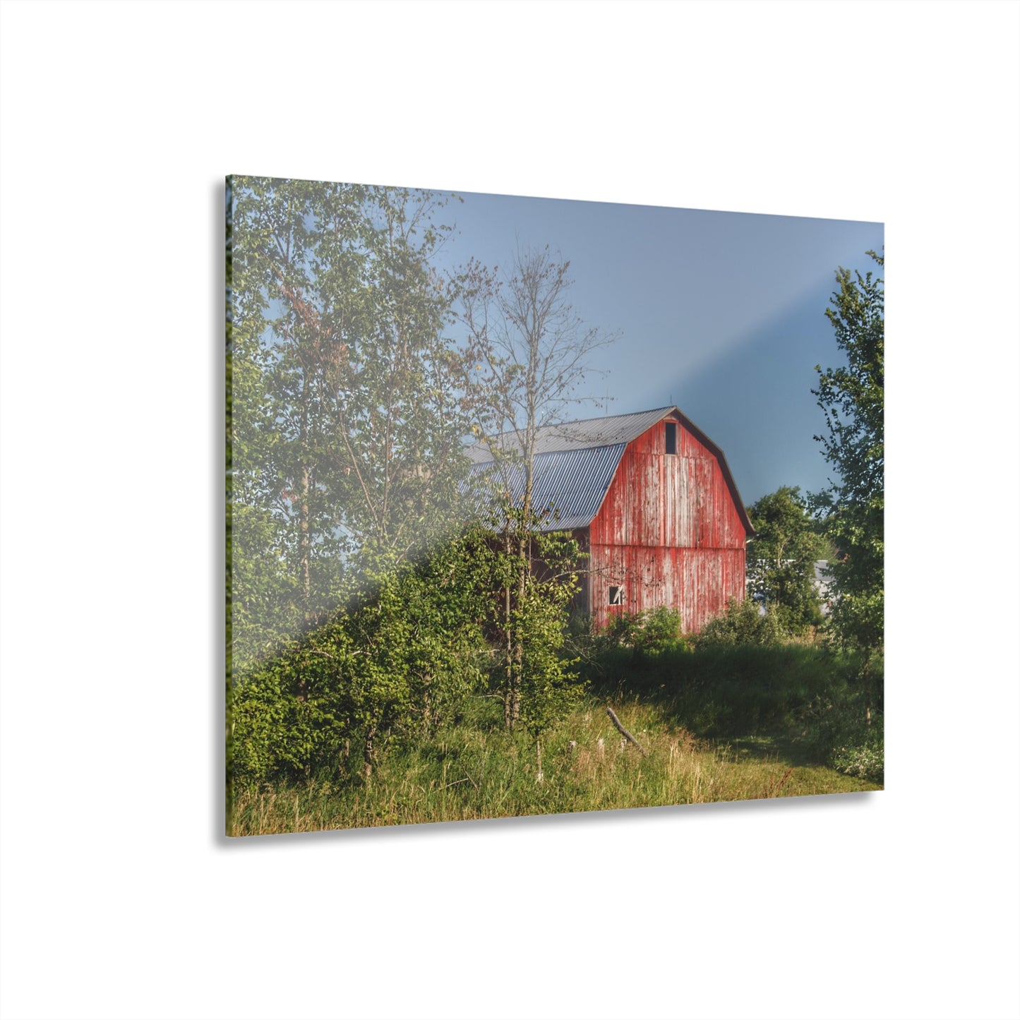 U R There Photography Columbiaville Red in Summer I Rustic Farmhouse Acrylic Wall Print