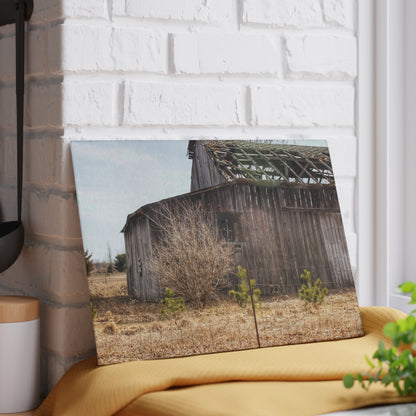 U R There Photography Leix Road Forgotten Grey II Rustic Farmhouse Tempered-Glass Cutting Board
