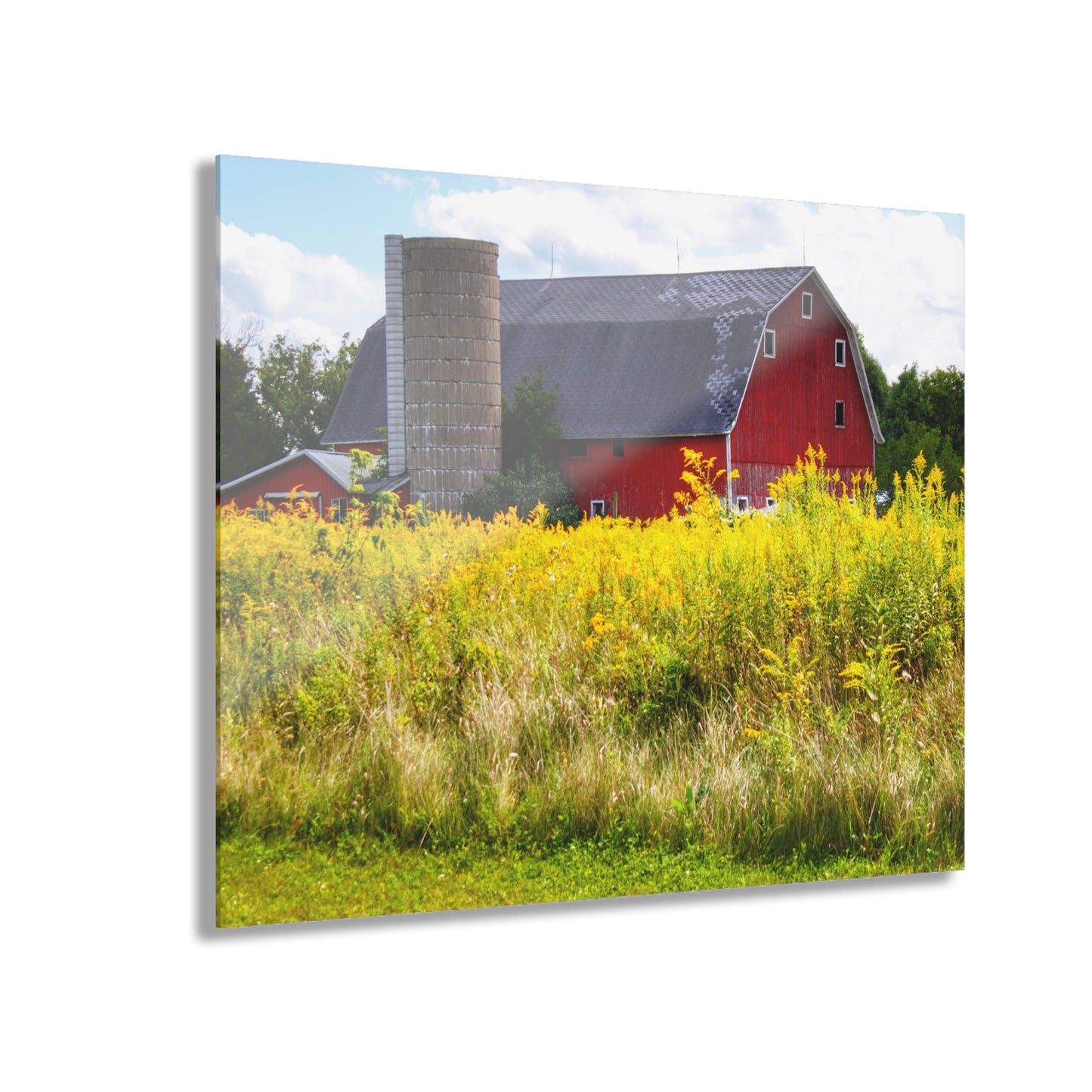 U R There Photography Starr Court Red II Rustic Farmhouse Acrylic Wall Print