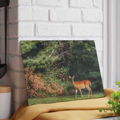 U R There Photography Mitchell Road Doe Rustic Farmhouse Tempered-Glass Cutting Board