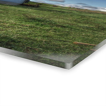 U R There Photography East Frances Quonset and Cows Rustic Farmhouse Acrylic Wall Print