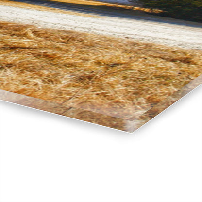 U R There Photography Indian Trail Rusted Reds II Rustic Farmhouse Acrylic Wall Print