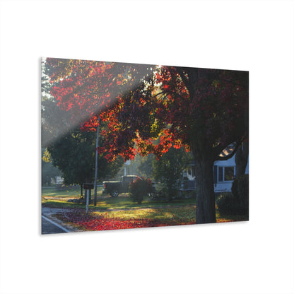 U R There Photography Red Crimson Leaves of Lum Rustic Farmhouse Acrylic Wall Print