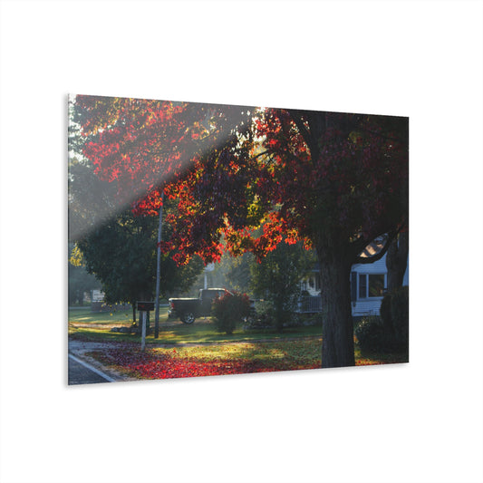 U R There Photography Red Crimson Leaves of Lum Rustic Farmhouse Acrylic Wall Print