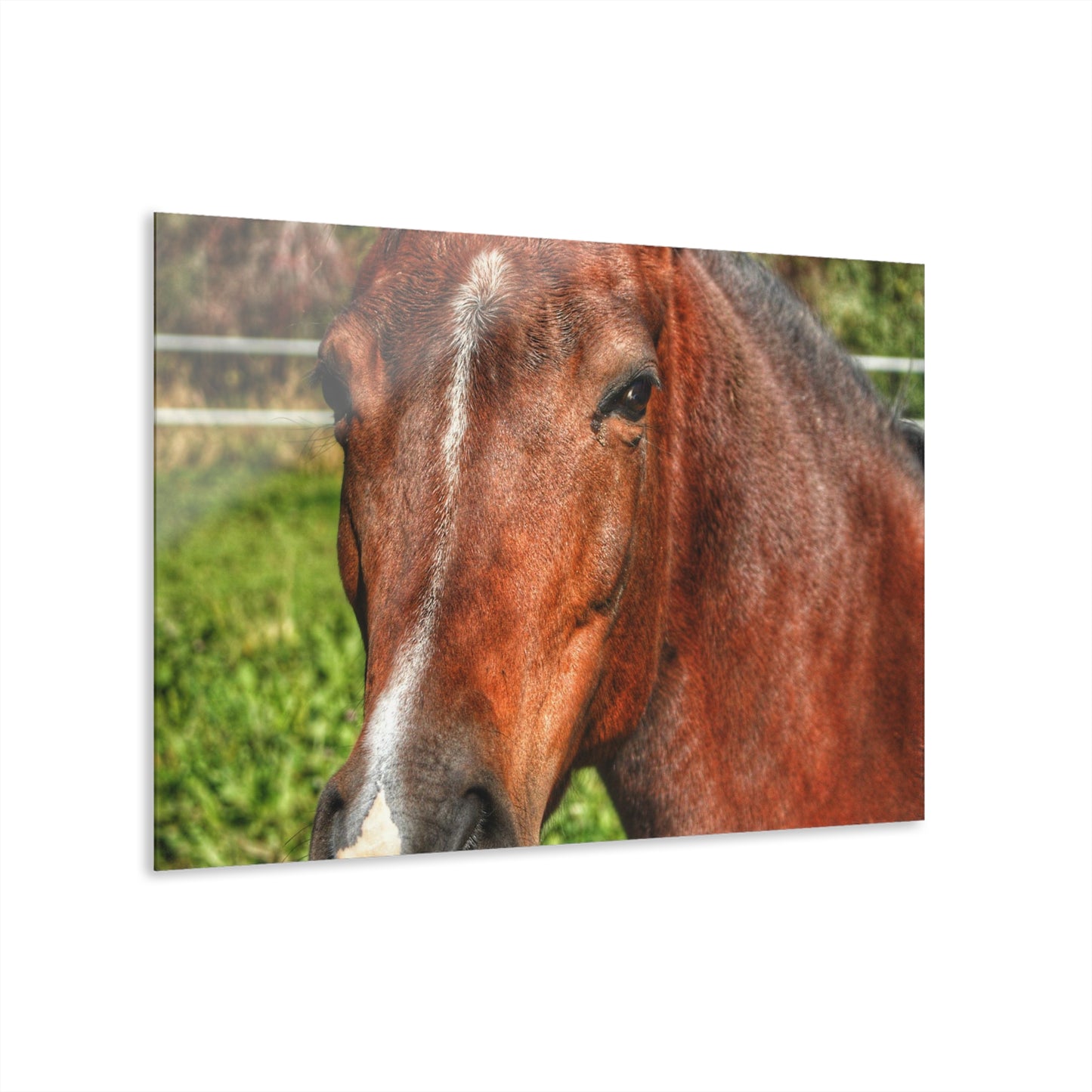 Rustic Farmhouse Wall Print Featuring Irish Road Brownie