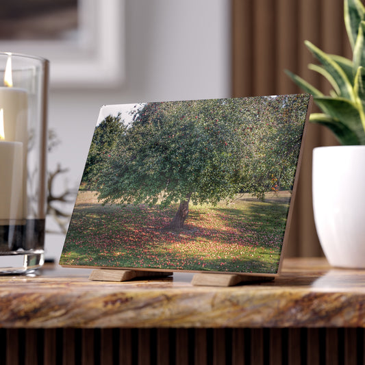 U R There Photography Apple Tree and Apples Rustic Farmhouse Decorative Ceramic Tile