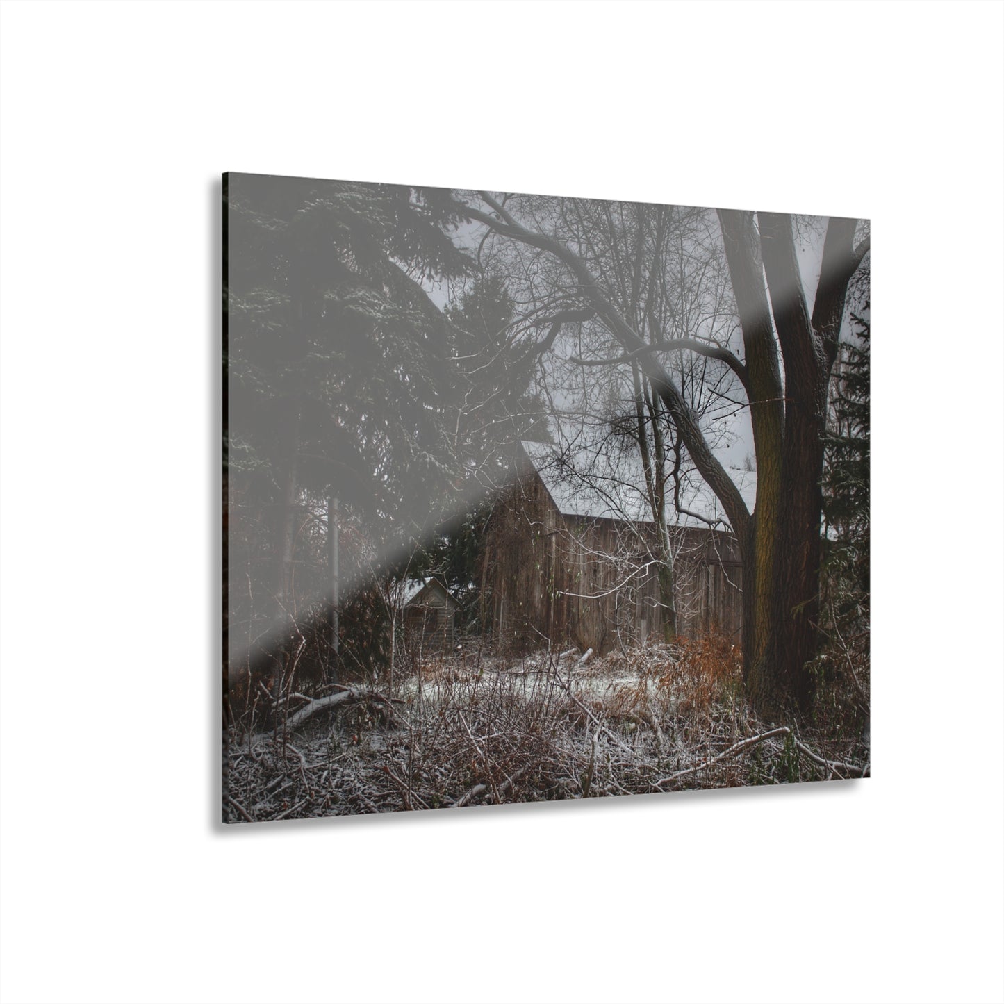 U R There Photography Willard Road Hidden Grey Rustic Farmhouse Acrylic Wall Print
