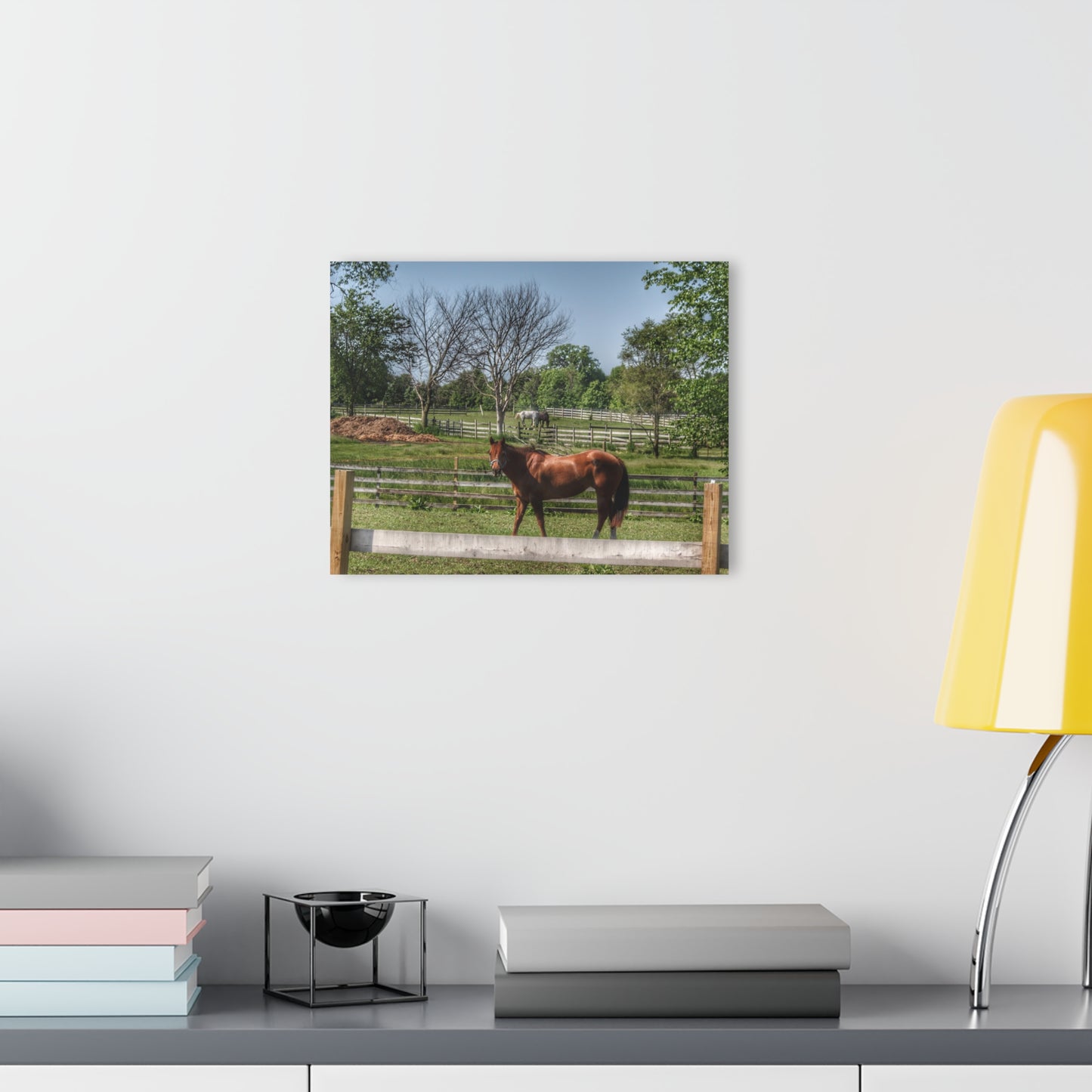 U R There Photography Summer Road Ponies Rustic Farmhouse Acrylic Wall Print