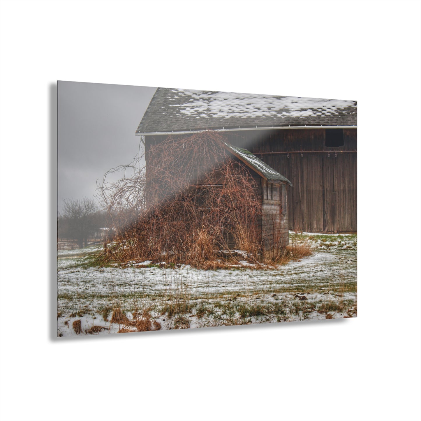 U R There Photography Wilder Road Little Grey Rustic Farmhouse Acrylic Wall Print
