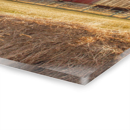 U R There Photography Irish Road Old Reds II Rustic Farmhouse Acrylic Wall Print