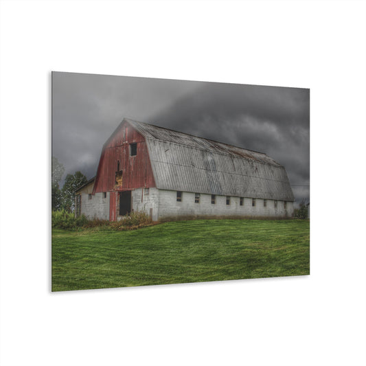 U R There Photography Peters Red Appaloosa II Rustic Farmhouse Acrylic Wall Print