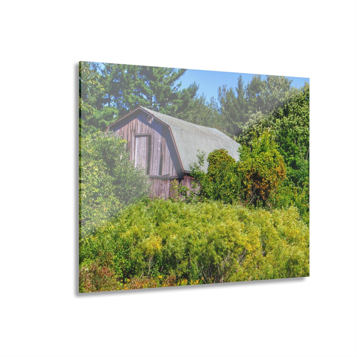 U R There Photography Saginaw Road Hidden Grey Rustic Farmhouse Acrylic Wall Print
