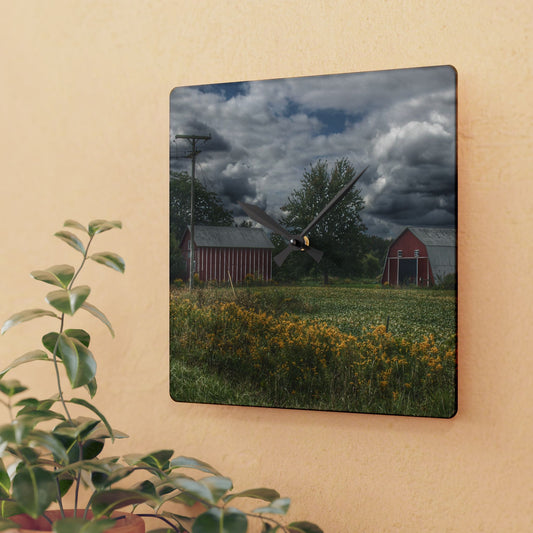 U R There Photography Pinstripe Barn and Buddy II Rustic Farmhouse Acrylic Analog Wall Clock