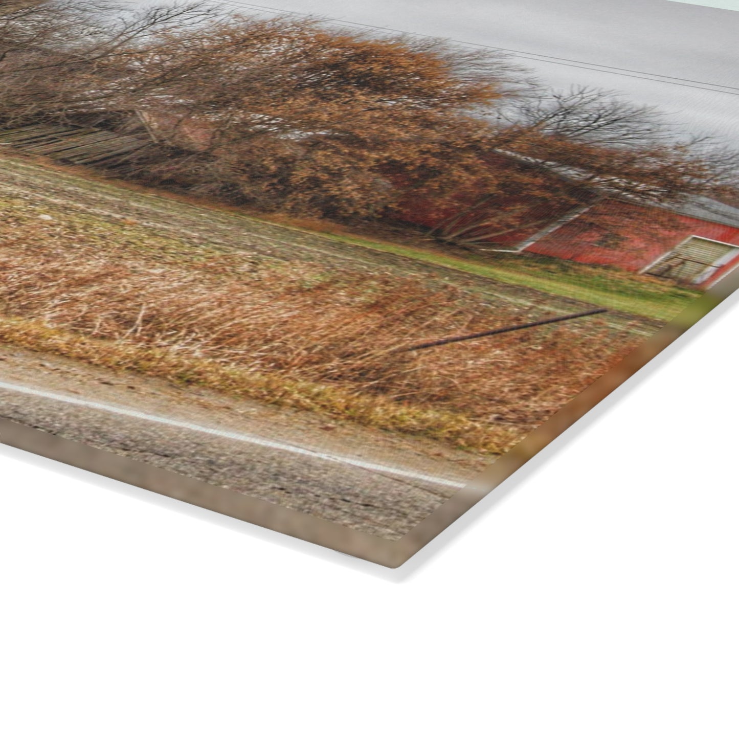 U R There Photography Burnside Road Grey II Rustic Farmhouse Tempered-Glass Cutting Board