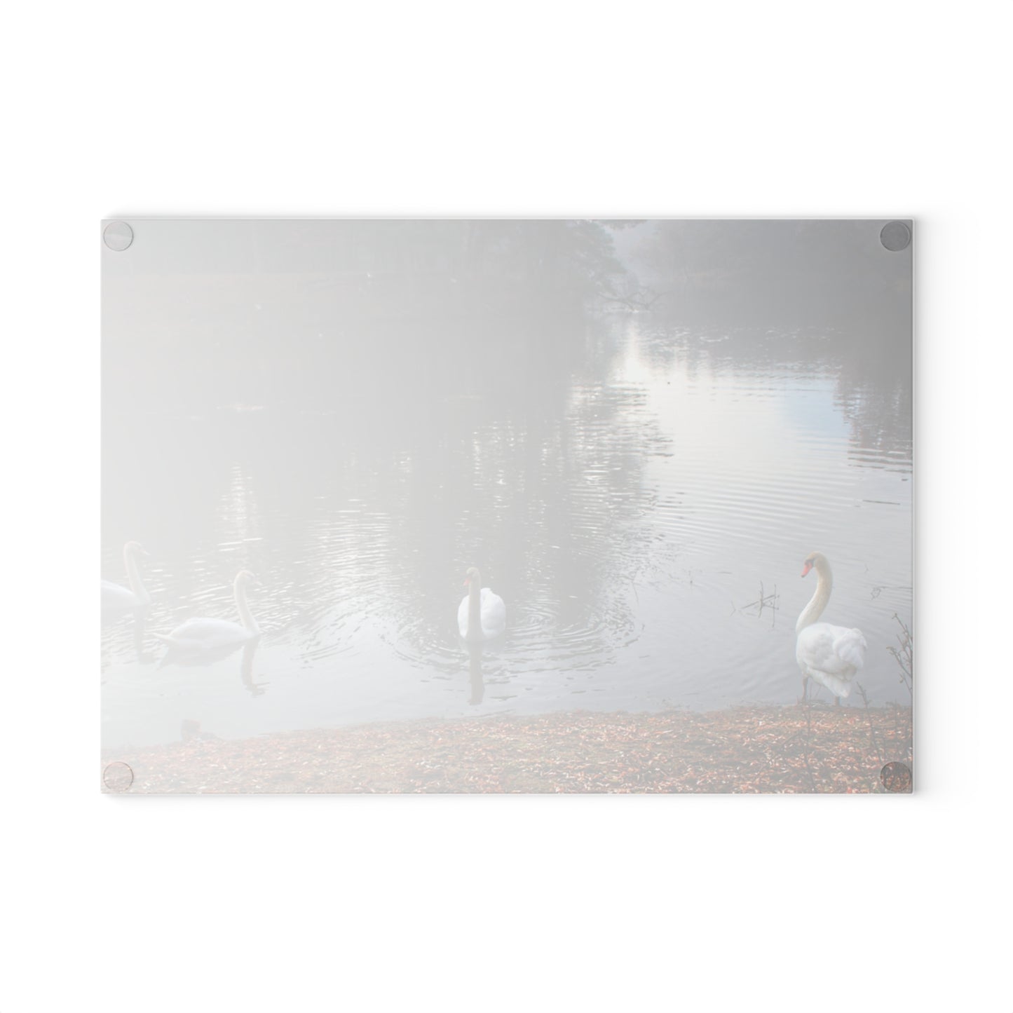 U R There Photography Swans of Duck Lake I Rustic Farmhouse Tempered-Glass Cutting Board
