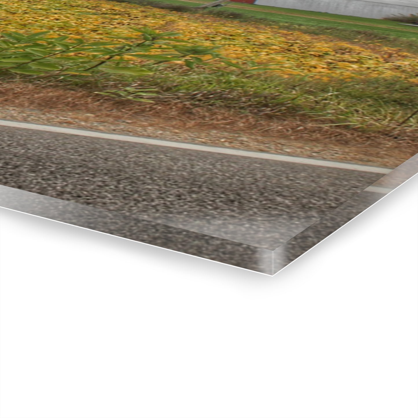 U R There Photography Kingston Road Trio III Rustic Farmhouse Acrylic Wall Print