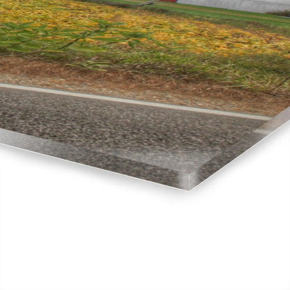 U R There Photography Kingston Road Trio III Rustic Farmhouse Acrylic Wall Print