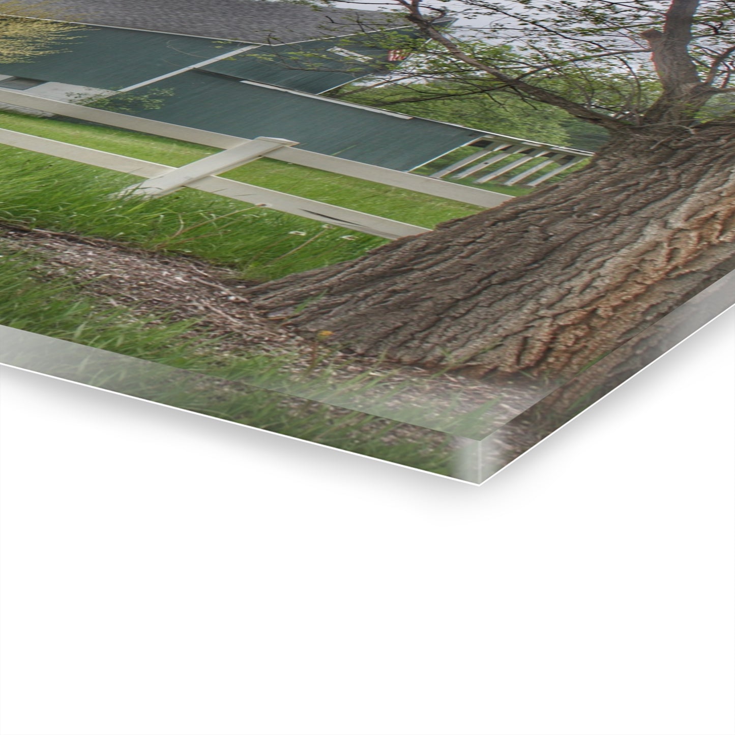 U R There Photography Lake George Road Fox Green Rustic Farmhouse Acrylic Wall Print