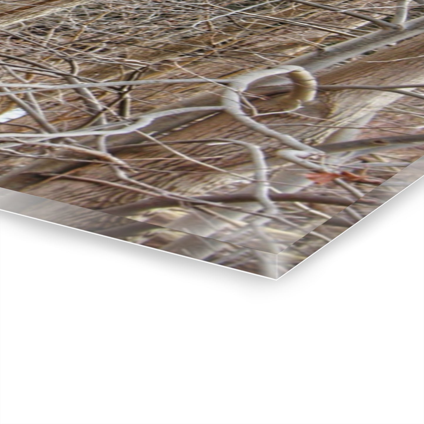 U R There Photography Lake Pleasant Hidden Red Rustic Farmhouse Acrylic Wall Print