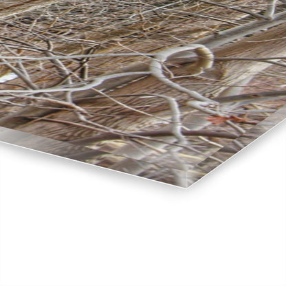 U R There Photography Lake Pleasant Hidden Red Rustic Farmhouse Acrylic Wall Print