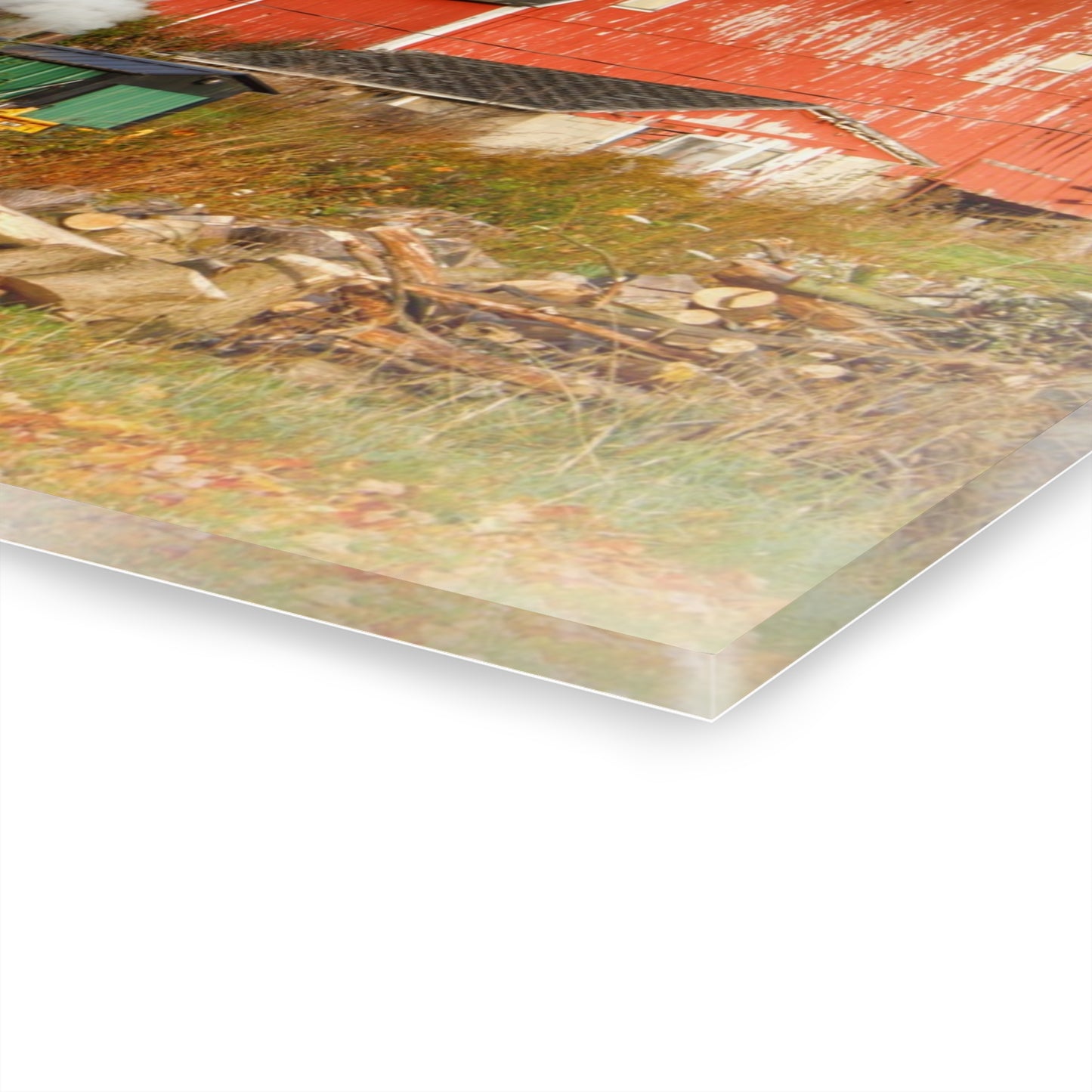 U R There Photography Greenwood Road Red in the Fall Rustic Farmhouse Acrylic Wall Print