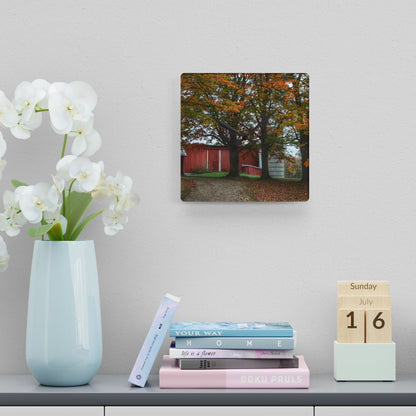 U R There Photography Brown Road Red in the Fall Rustic Farmhouse Acrylic Analog Wall Clock