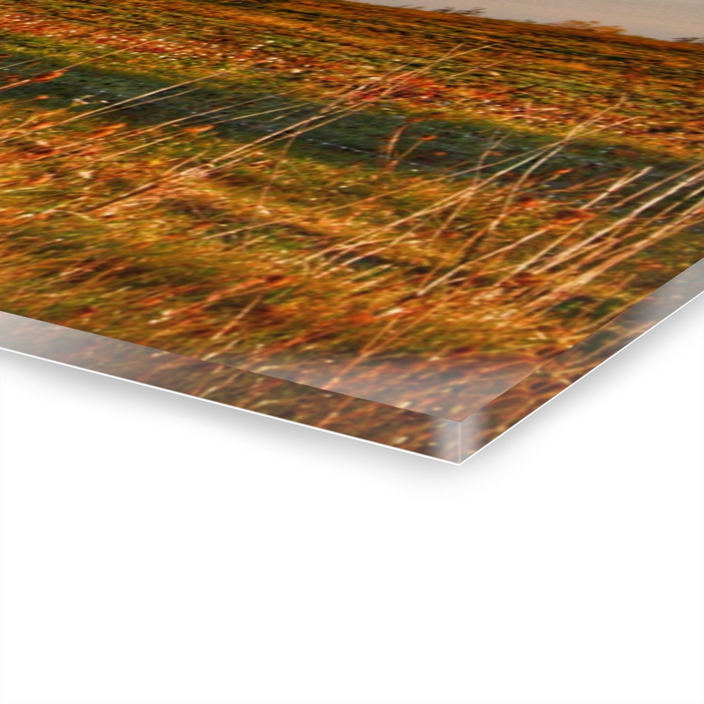 U R There Photography Lake Pleasant Road Little Red and Silo I Rustic Farmhouse Acrylic Wall Print