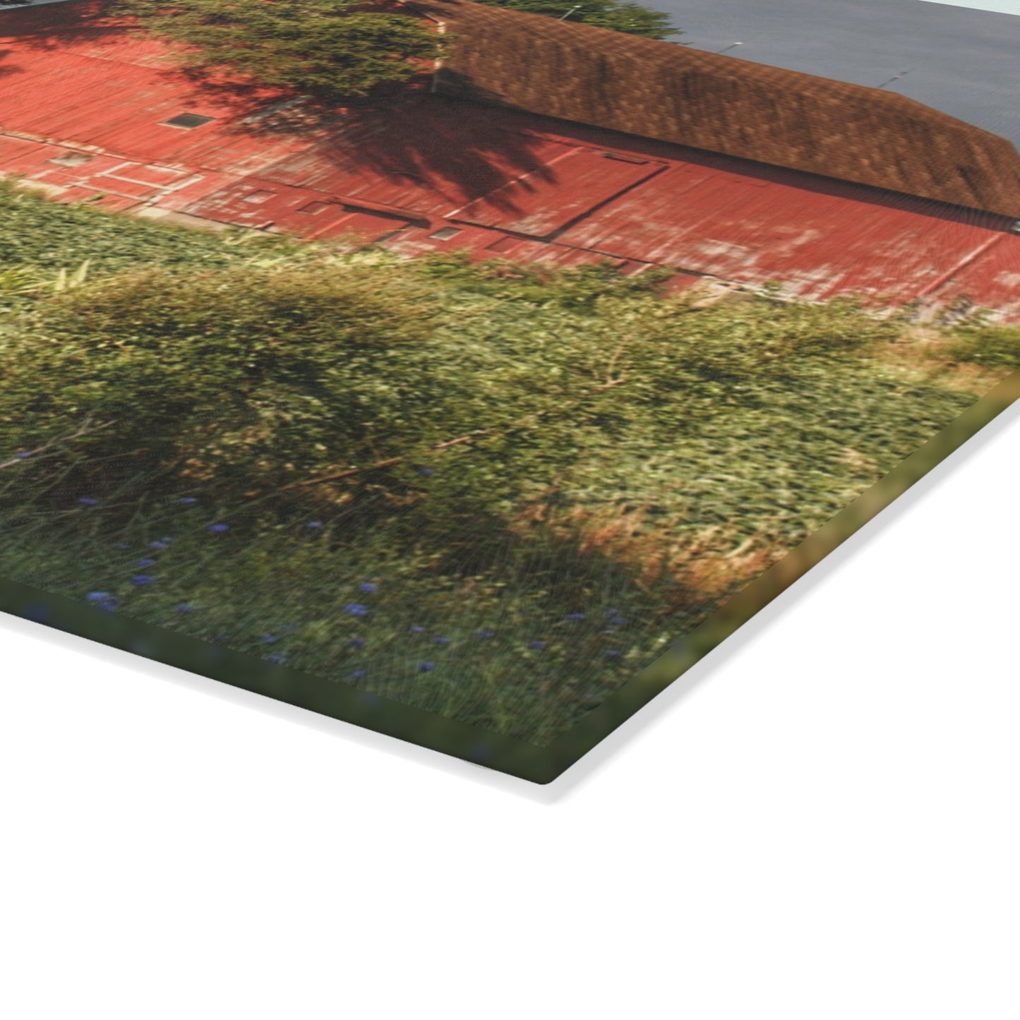 U R There Photography Genesee Road Red II Rustic Farmhouse Tempered-Glass Cutting Board