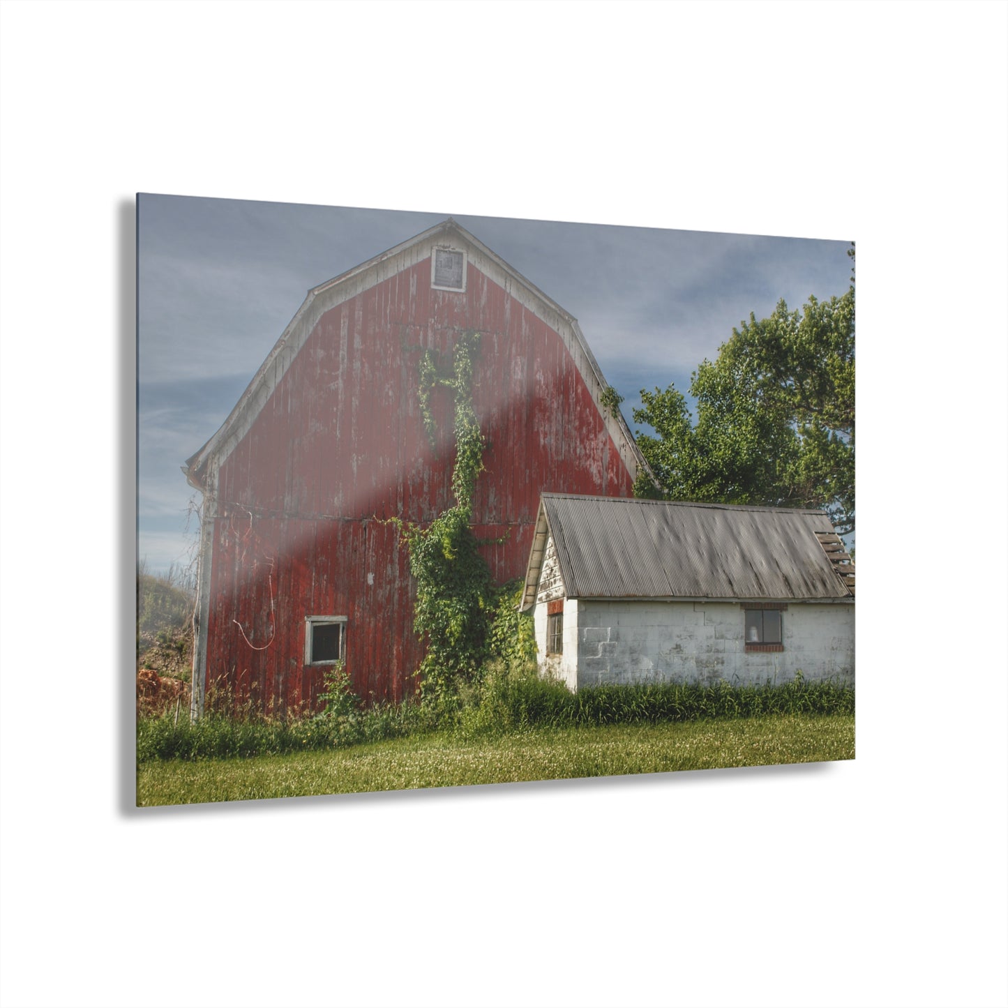 U R There Photography Stanley Road Red in Summer II Rustic Farmhouse Acrylic Wall Print