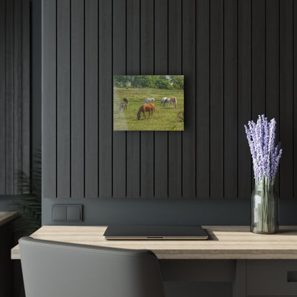 Barn Boutique Modern Farmhouse Acrylic Wall Print| Horses in the Pasture I