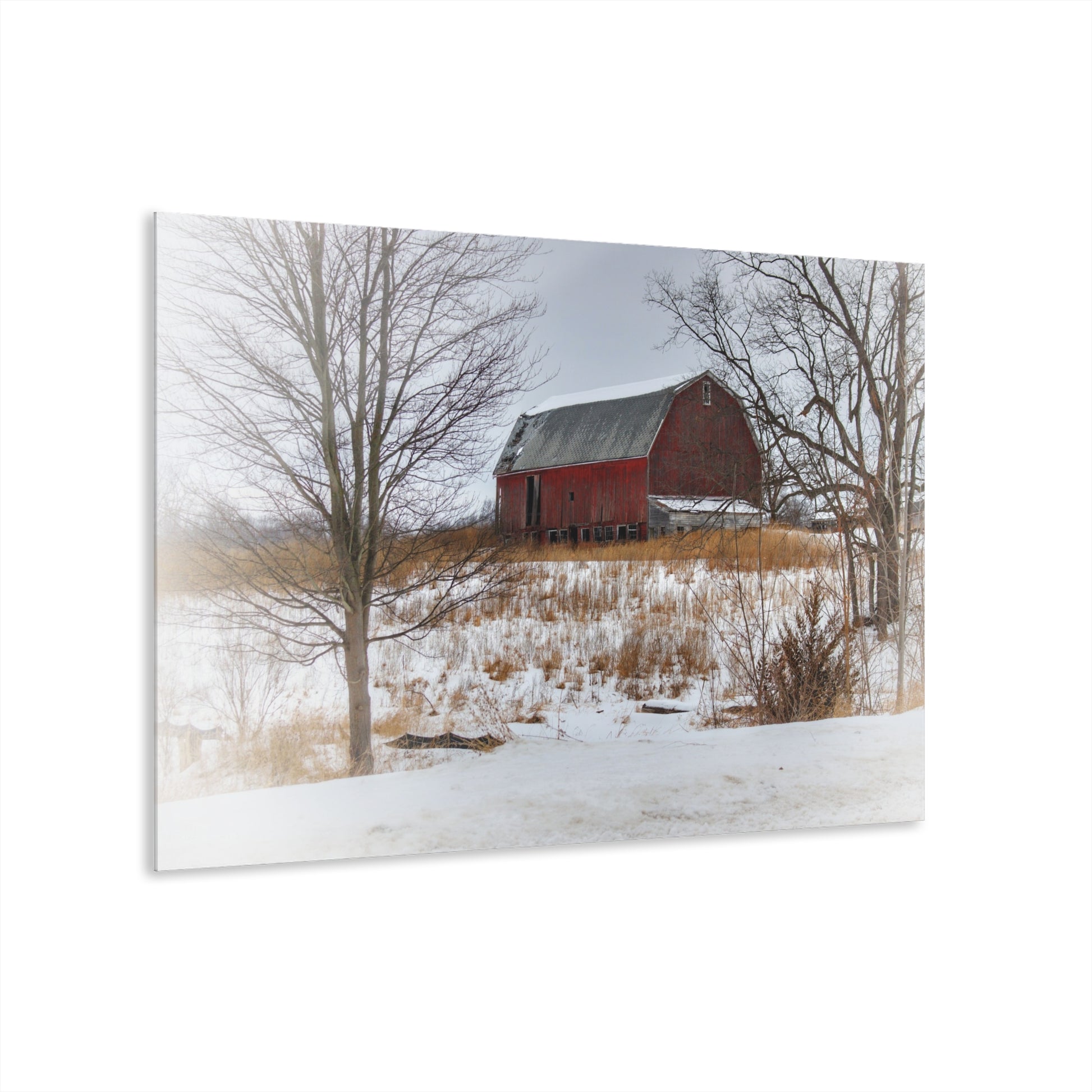 Hadley Red II Rustic Farmhouse Acrylic Wall Print 36" x 24" (Horizontal) 0.25''
