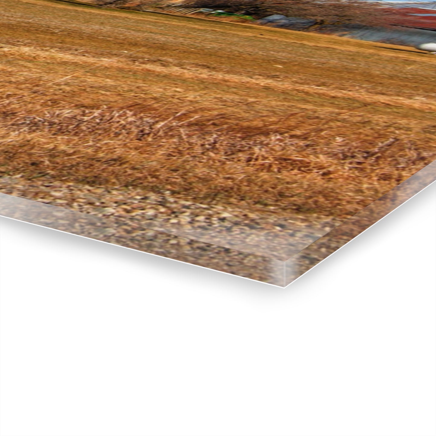 U R There Photography North Cemetery Roads Forgotten Grey Rustic Farmhouse Acrylic Wall Print