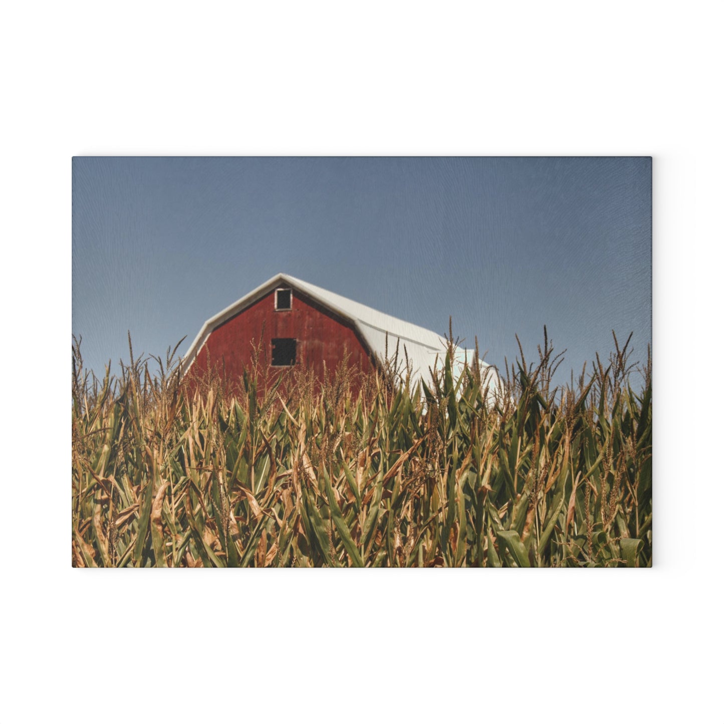 U R There Photography Beyond the Corn Rustic Farmhouse Tempered-Glass Cutting Board