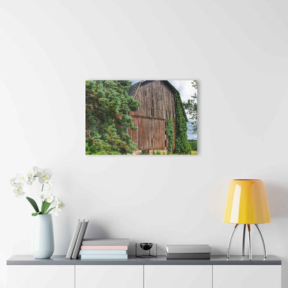 U R There Photography North Branch Ivy Grey I Rustic Farmhouse Acrylic Wall Print