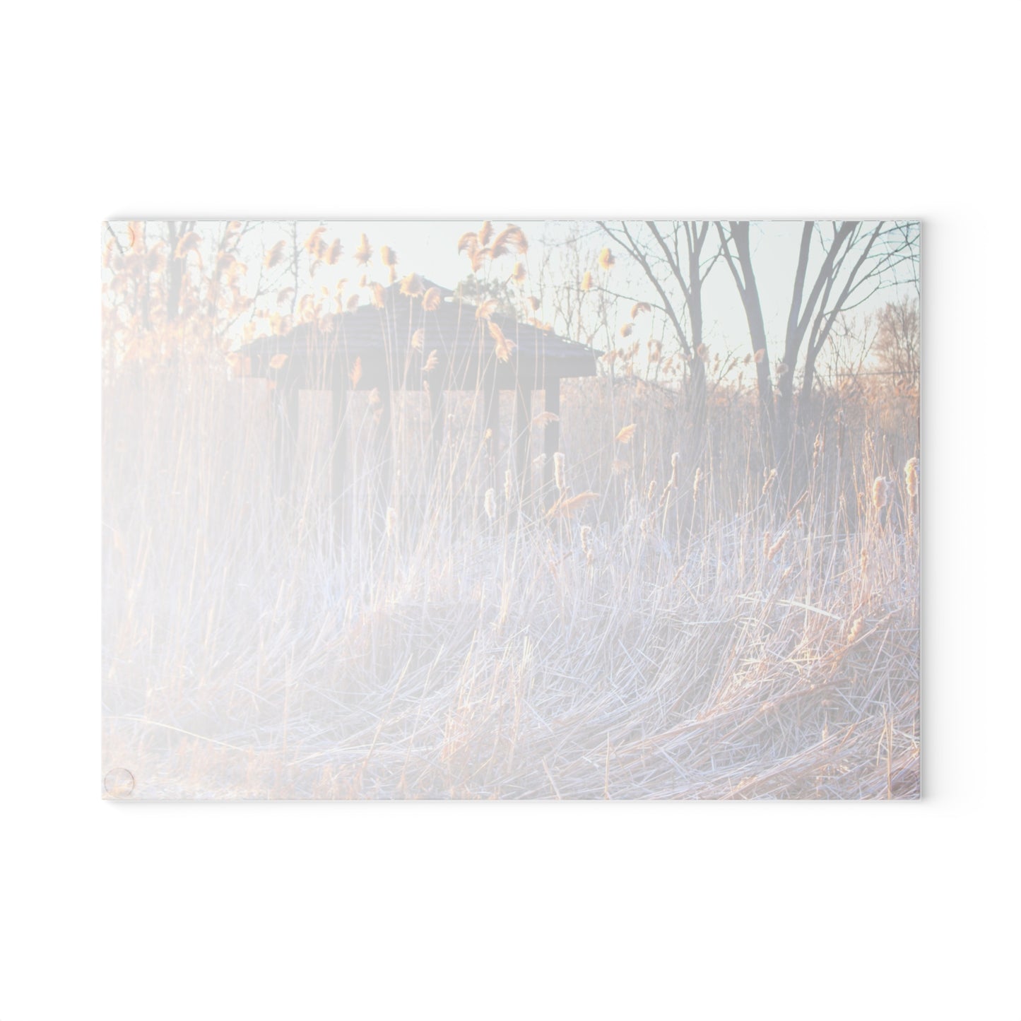 U R There Photography Haines Hidden Gazebo Rustic Farmhouse Tempered-Glass Cutting Board