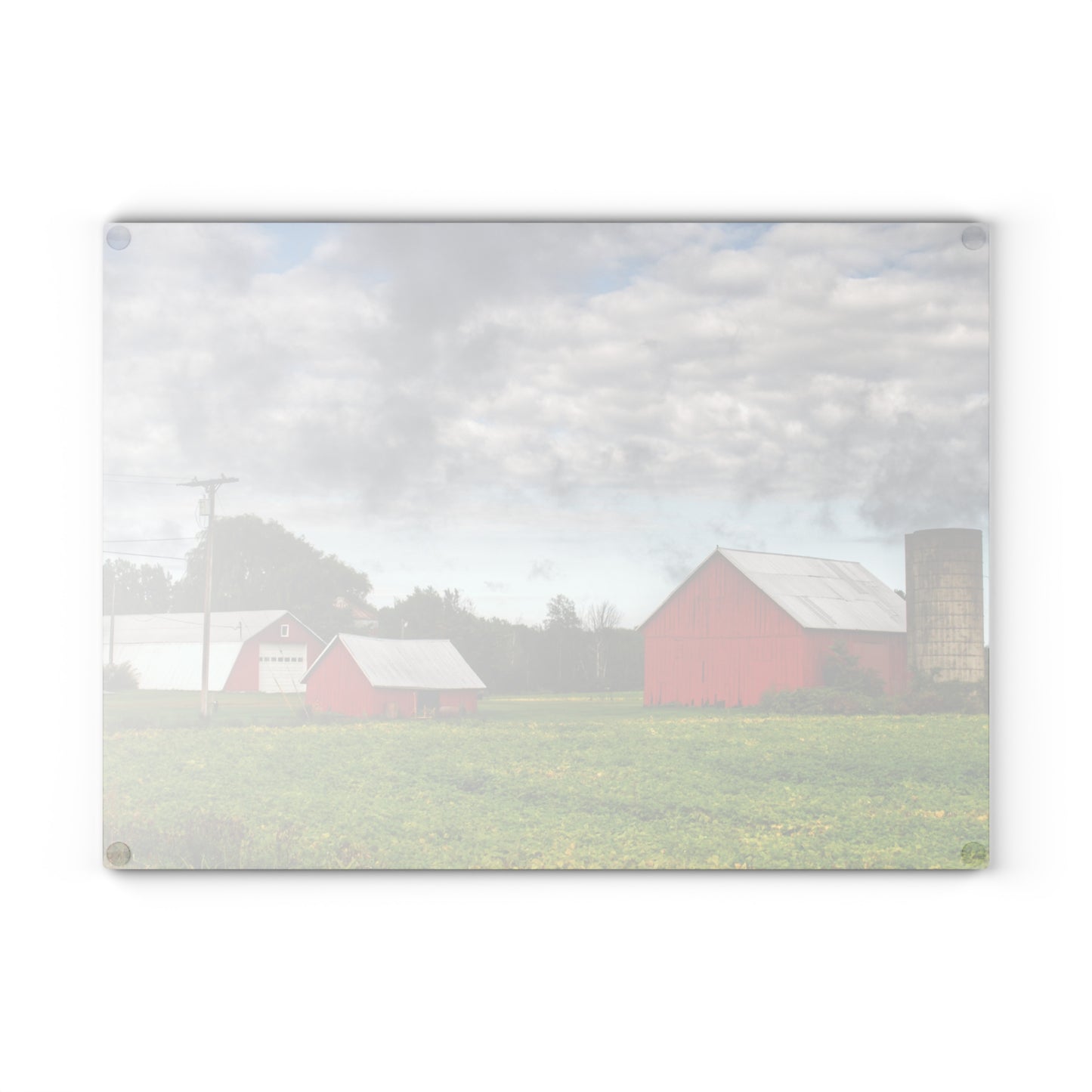 U R There Photography Kingston Road Trio III Rustic Farmhouse Tempered-Glass Cutting Board