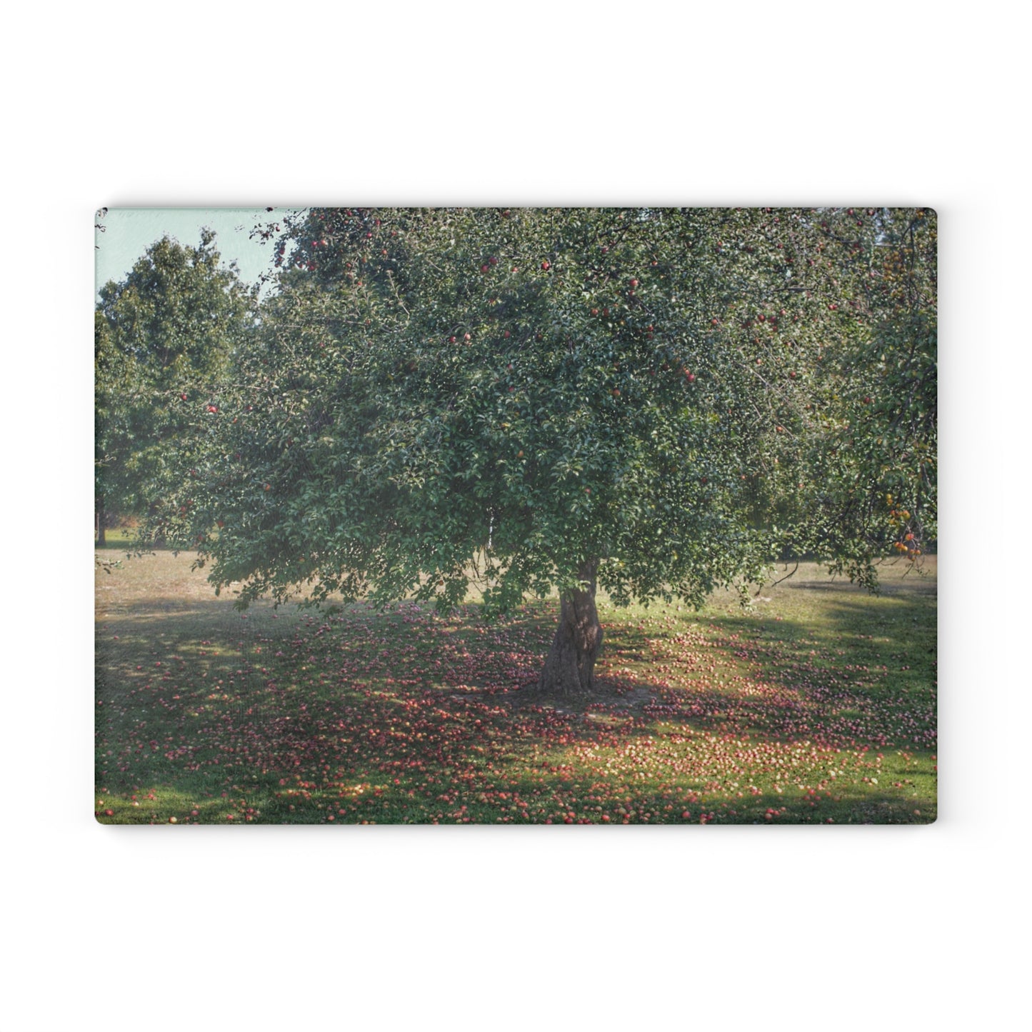 U R There Photography Apple Tree and Apples Rustic Farmhouse Tempered-Glass Cutting Board