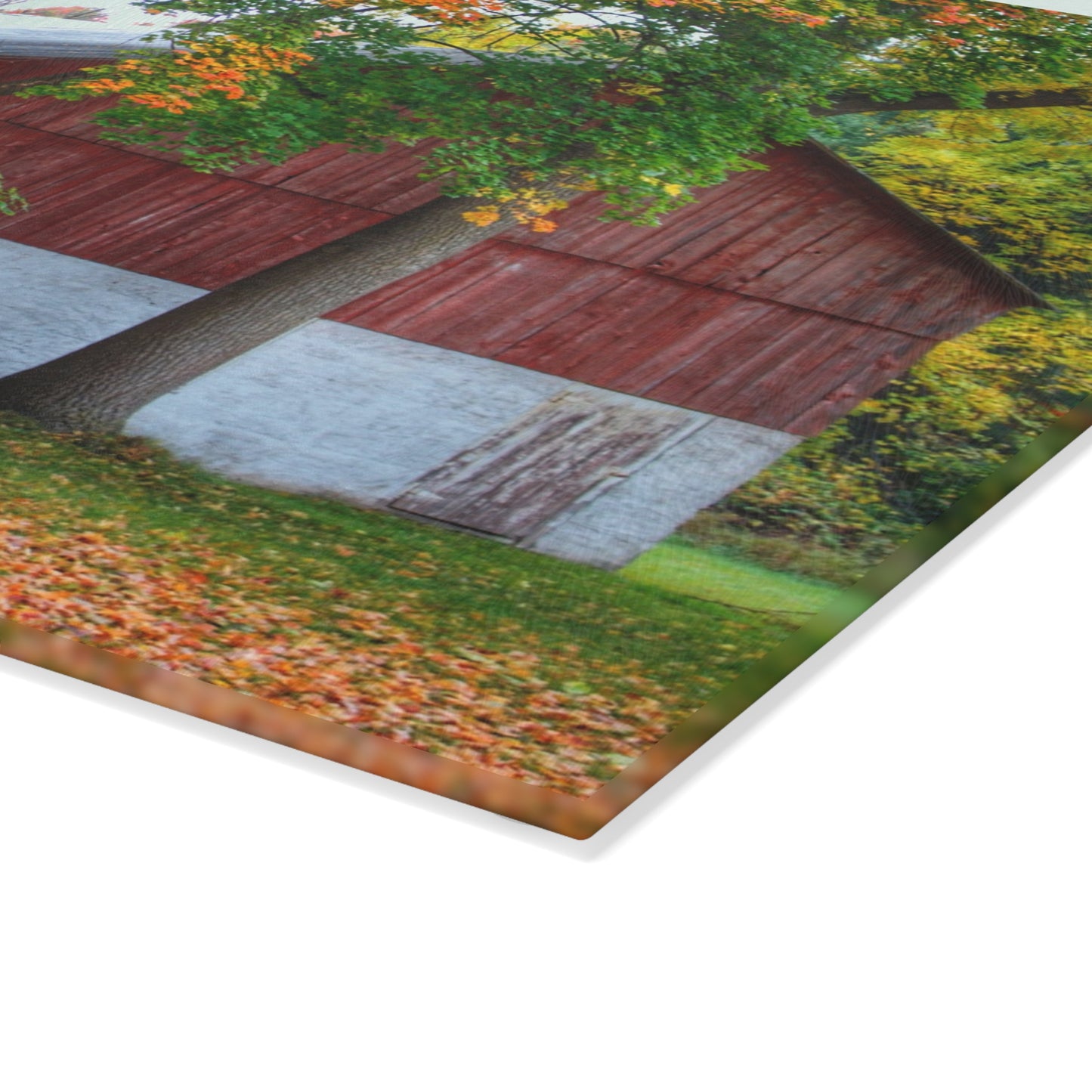 U R There Photography M-25 Red Rustic Farmhouse Tempered-Glass Cutting Board