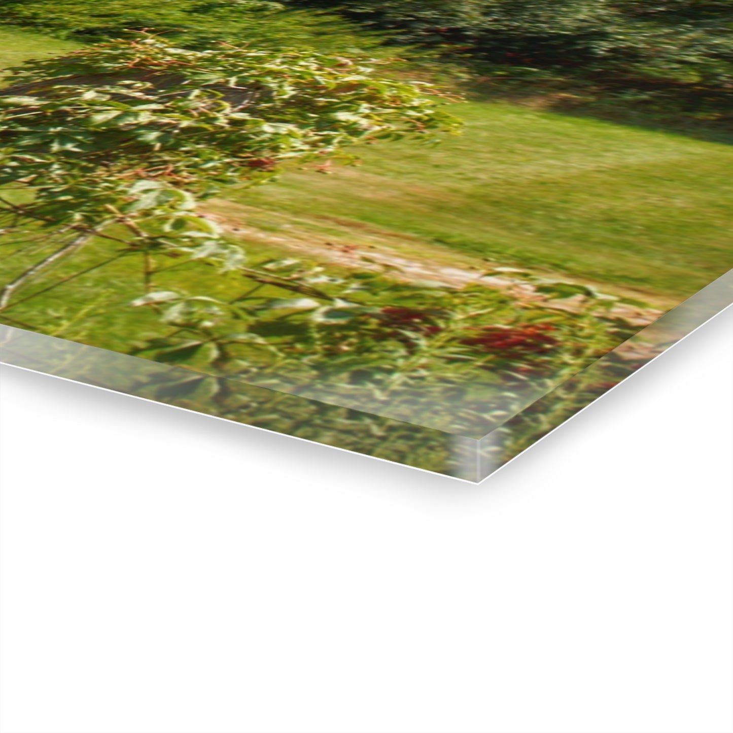 U R There Photography South Oak Road Reds II Rustic Farmhouse Acrylic Wall Print