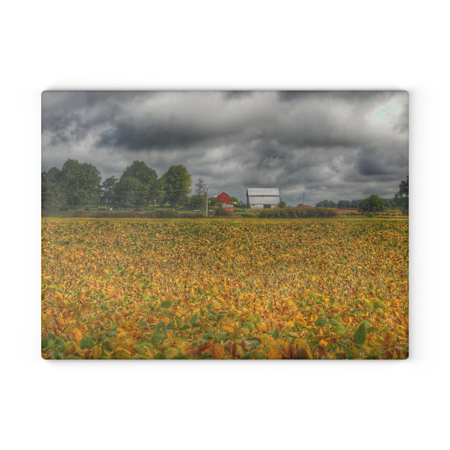 U R There Photography Golden Fields Farm Rustic Farmhouse Tempered-Glass Cutting Board