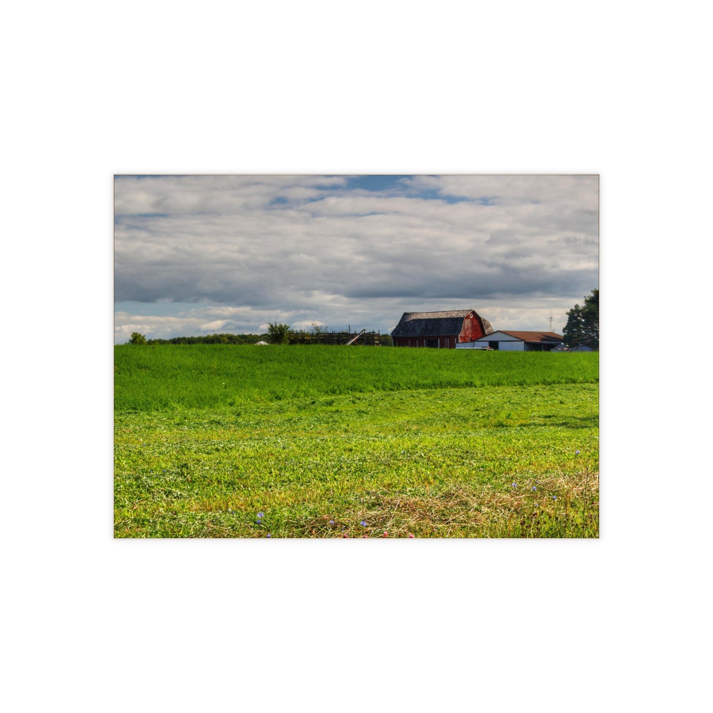U R There Photography Across the Field in Kingston Rustic Farmhouse Decorative Ceramic Tile