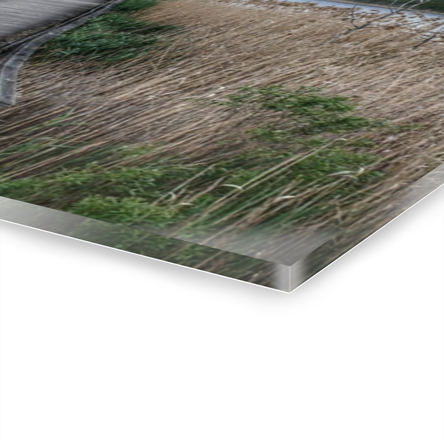 U R There Photography Linear Park Bridge in Lapeer II Rustic Farmhouse Acrylic Wall Print