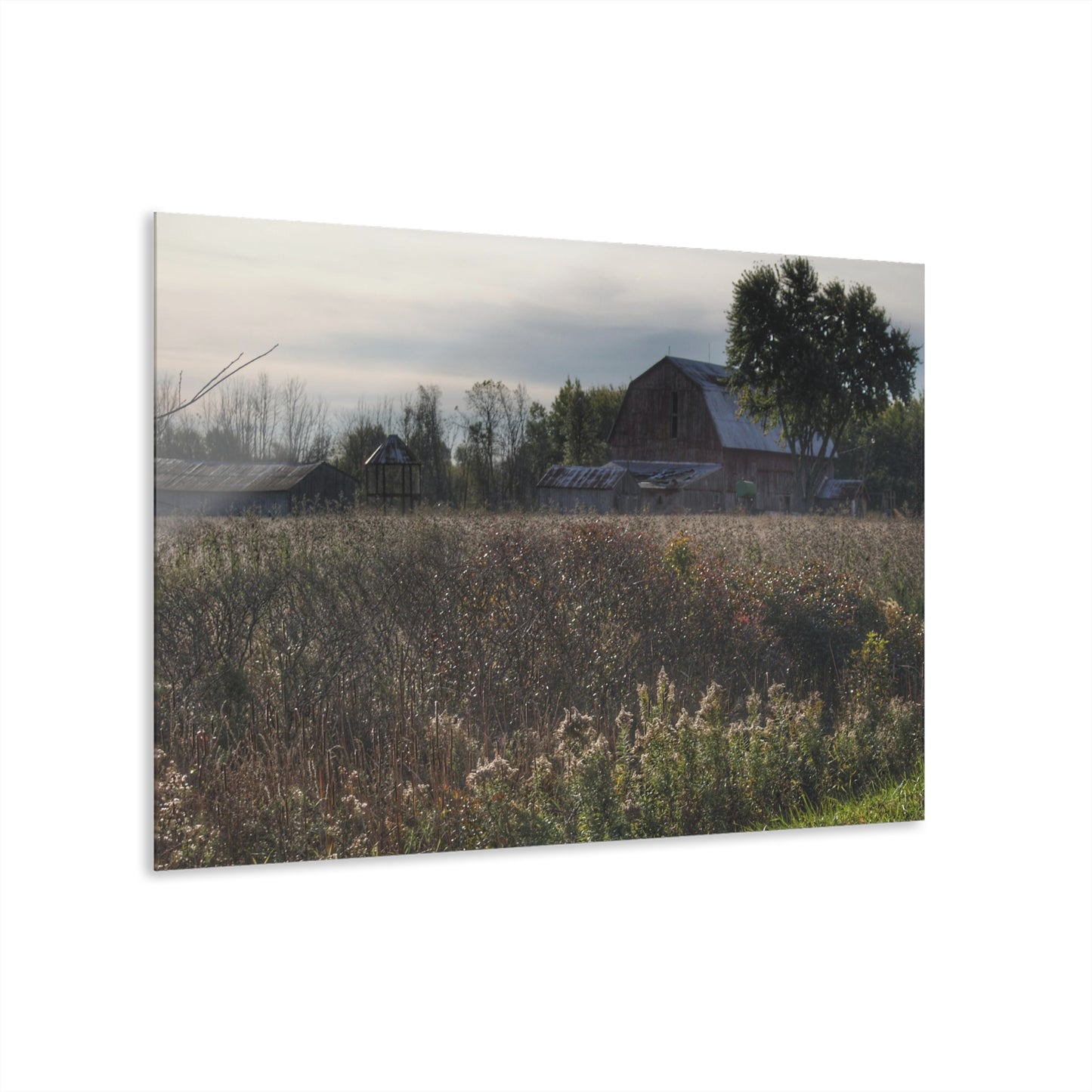 U R There Photography Brown City Road Red Rustic Farmhouse Acrylic Wall Print